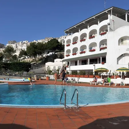 Morcavallo & Wellness